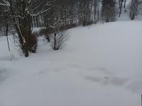 20260111_131823 (1024x768).jpg